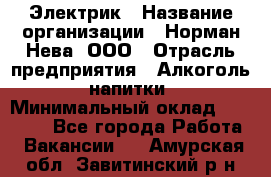 Электрик › Название организации ­ Норман-Нева, ООО › Отрасль предприятия ­ Алкоголь, напитки › Минимальный оклад ­ 35 000 - Все города Работа » Вакансии   . Амурская обл.,Завитинский р-н